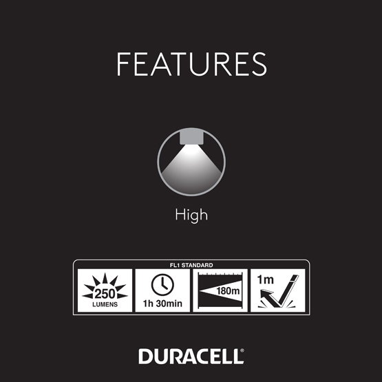250-6-duracell